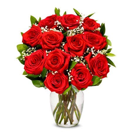 12 Red Roses Bunch Vase